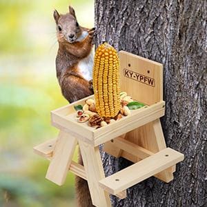 Best Squirrel Feeder-budget priced