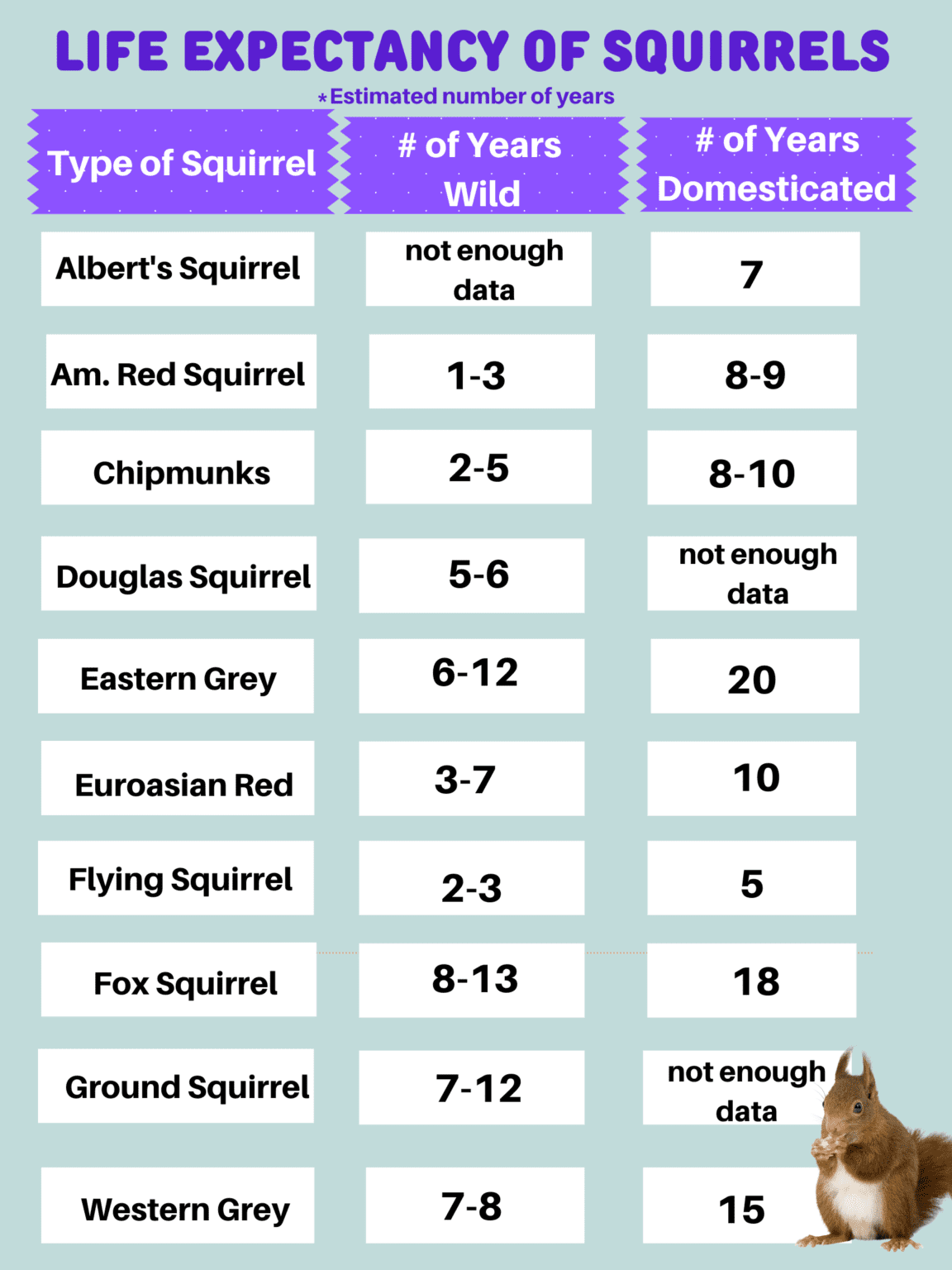 How Long Do Squirrels Live? Check Out This Ultimate Guide