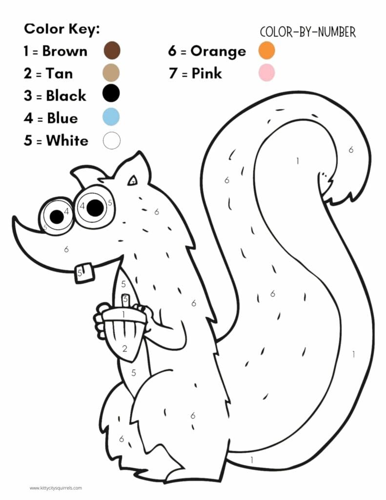 Squirrel Coloring Pages - squirrel acorn color by number