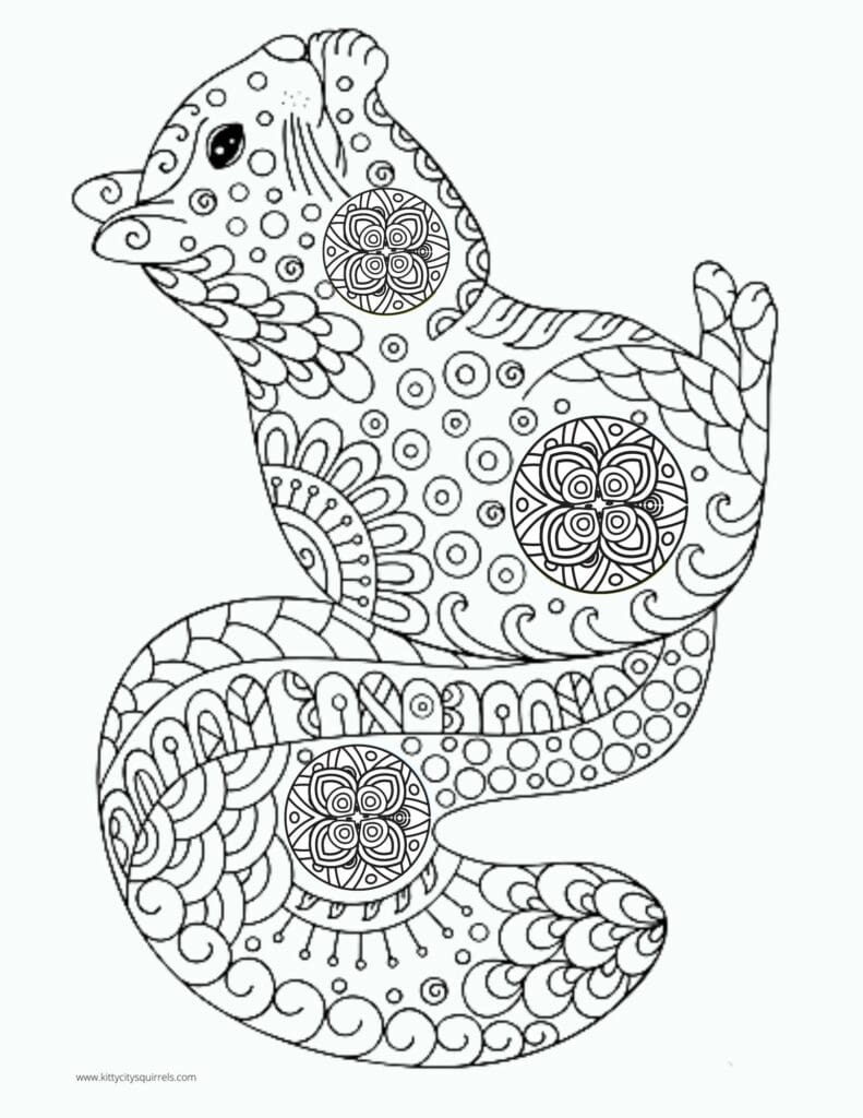 Squirrel Coloring Pages - Zentangle 