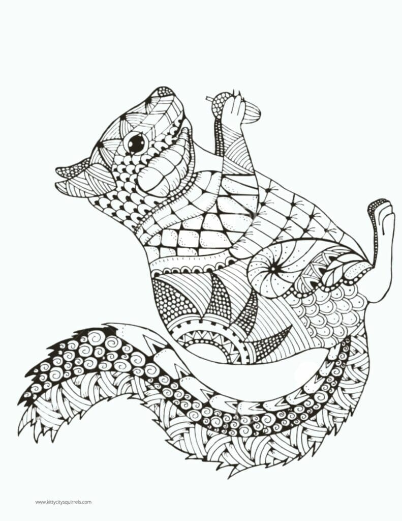 Squirrel Coloring Pages - squirrel acorn zentangle