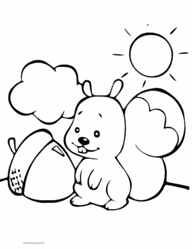 Squirrel Coloring Pages - squirrel in the sun