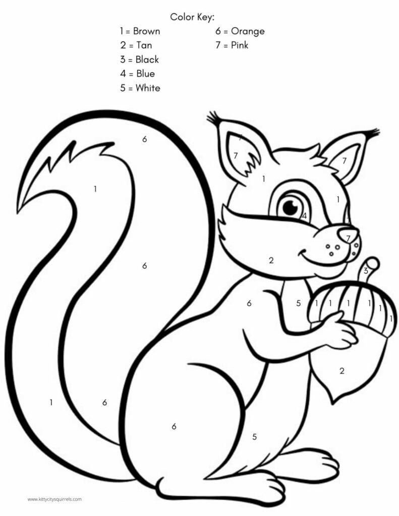 Squirrel Coloring Pages - squirrel acorn color by number