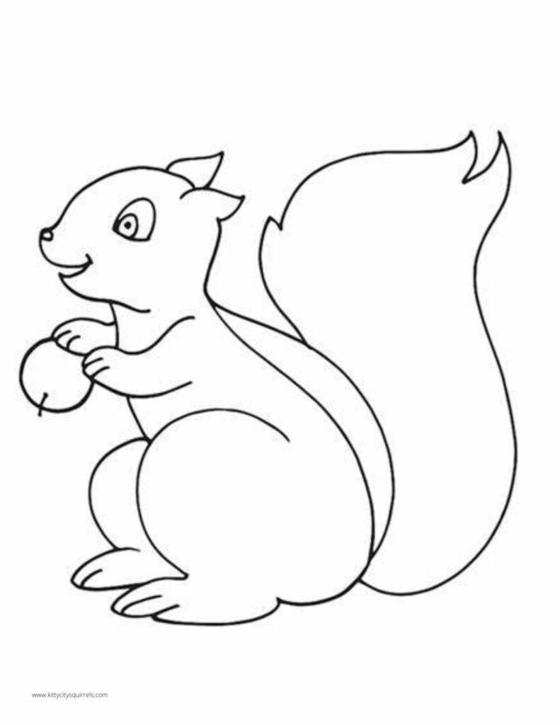 Squirrel Coloring Pages - squirrel smiling holding acorn 