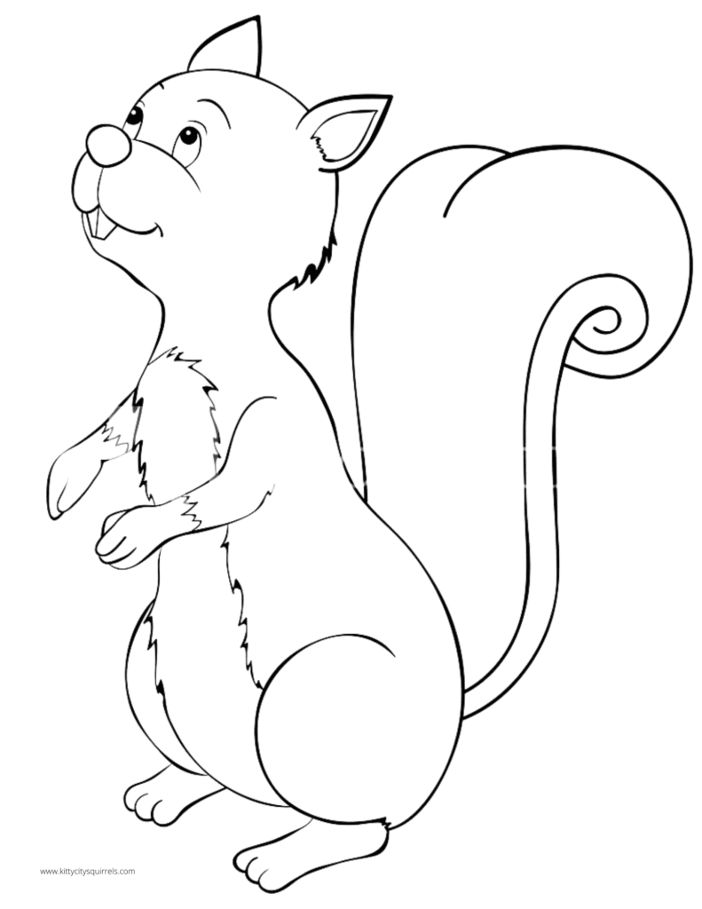 Squirrel Coloring Pages - squirrel thinking