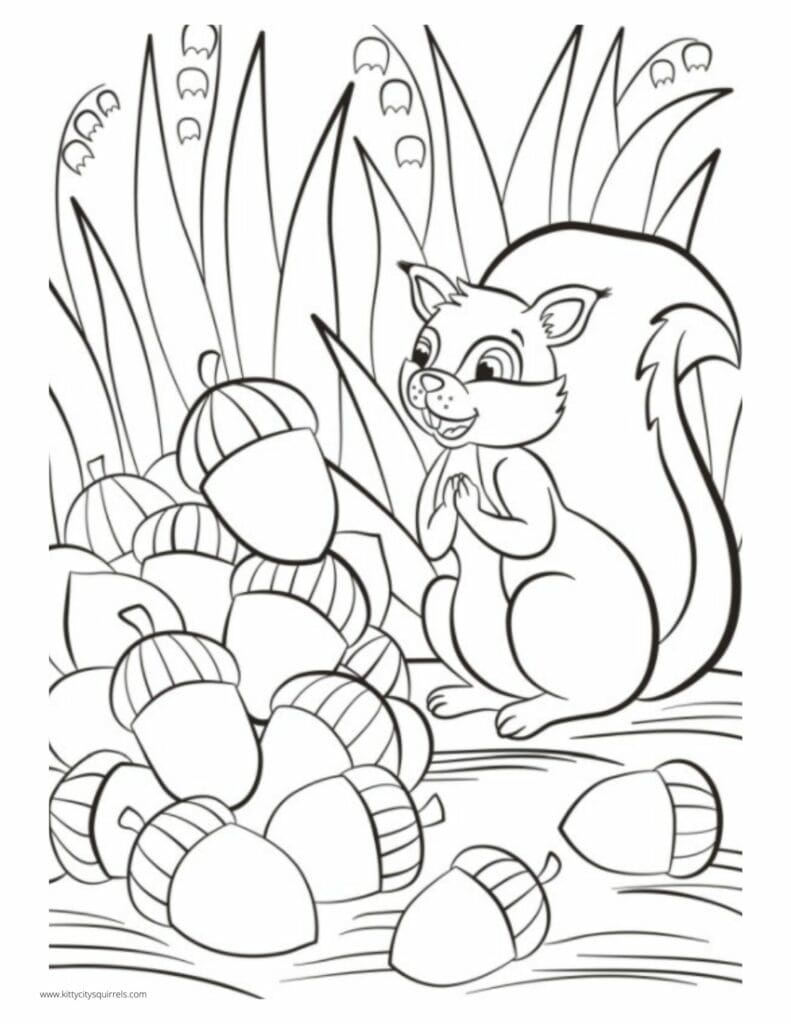 squirrel-coloring-page 16 full