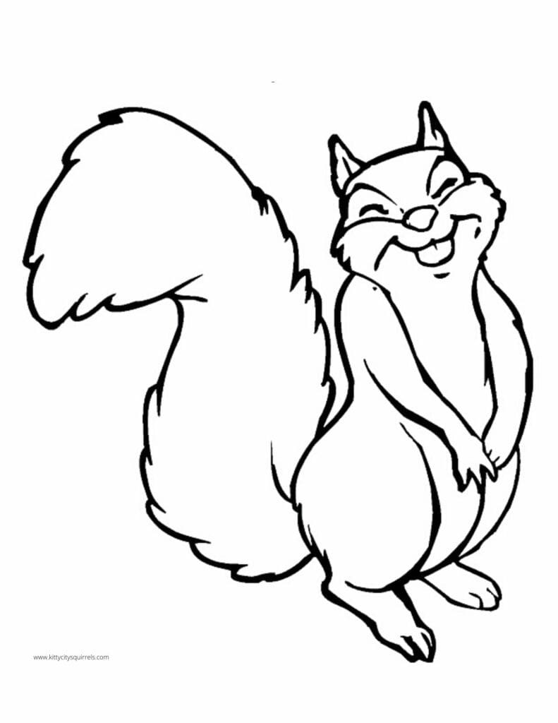 Squirrel Coloring Pages - squirrel laughing