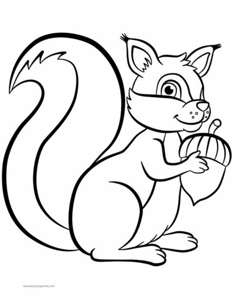 Squirrel Coloring Pages - squirrel acorn 