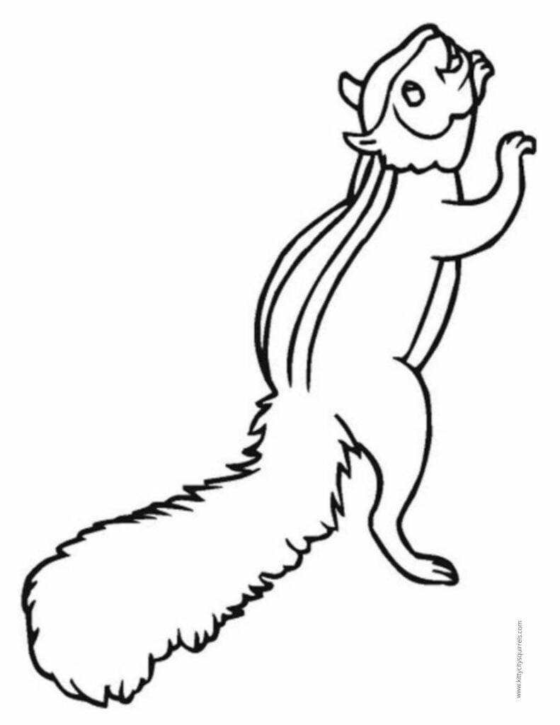 Squirrel Coloring Pages - running squirrel