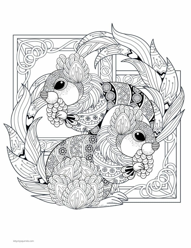 Squirrel Coloring Pages - two squirrels zentangle 