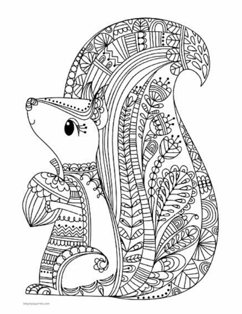 Squirrel Coloring Pages - squirrel zentangle