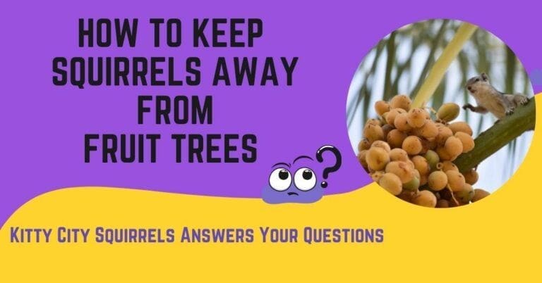 Keep Squirrels Away Fruit Trees | Tips You Need To Know