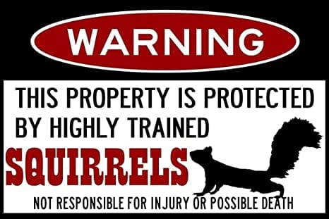 squirrel themed gifts - highly trained squirrel sign