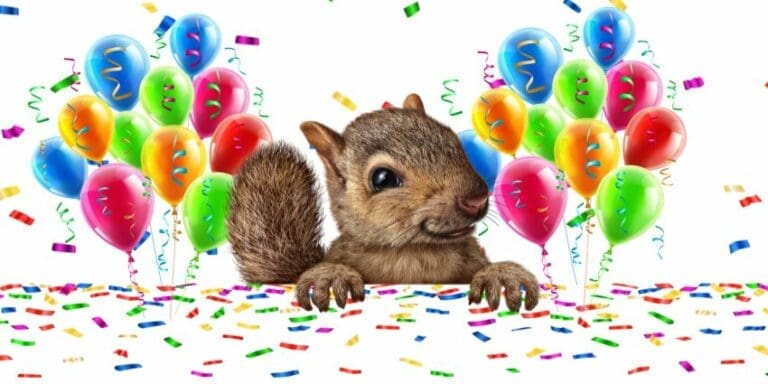 When & How to Celebrate Squirrel Appreciation Day – Fun Ideas