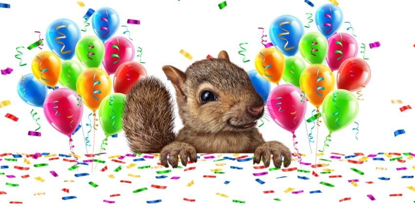 squirrel apreciation day - squirrel shown with celebration balloons