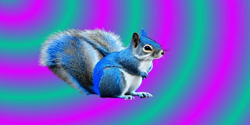 what color is a squirrel - featured photo